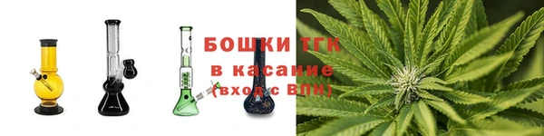 прущие грибы Новодвинск