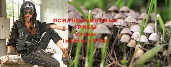 гашик Баксан