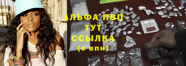 гашик Баксан