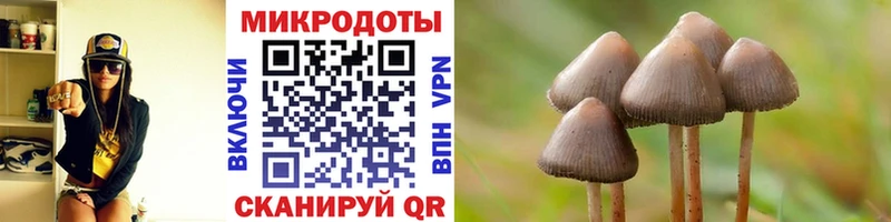 что такое наркотик  Кубинка  Галлюциногенные грибы Cubensis 